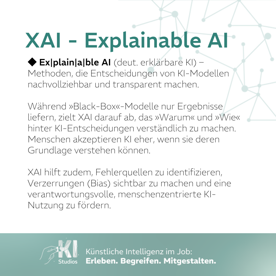 D Rückseite